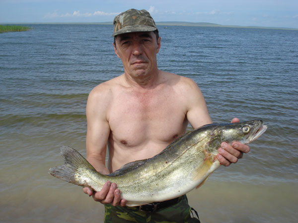 Сергей Орехов